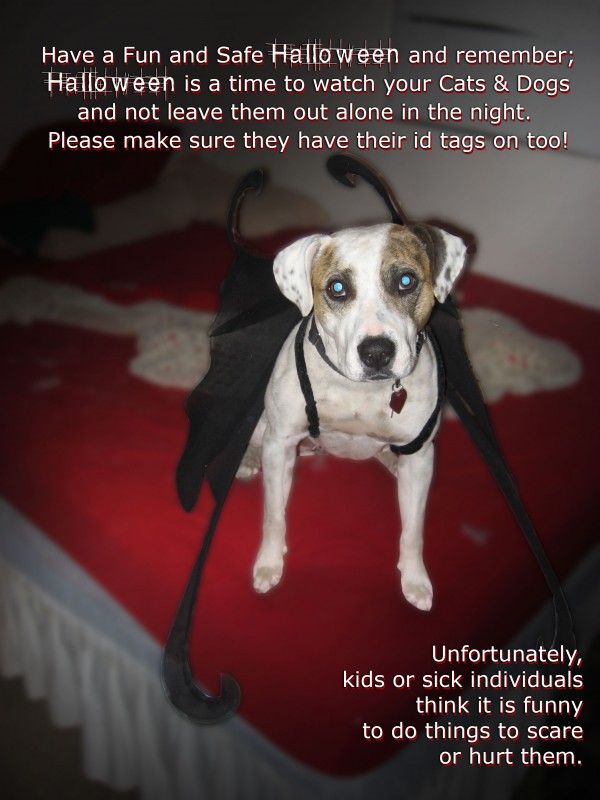 A Halloween Message from Ella PitzGerald