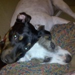 Adorable Prince Abu with Ella