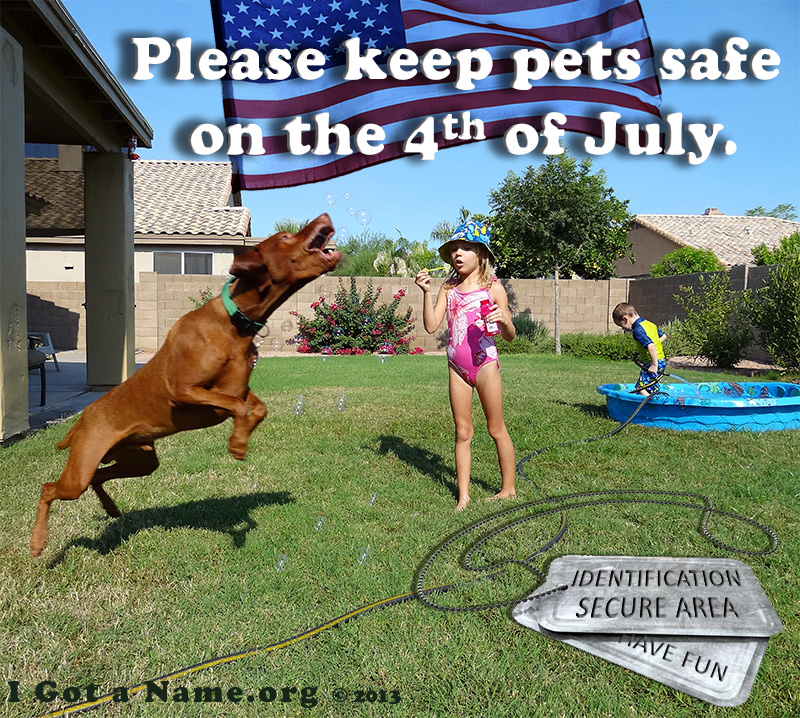 Pet safety on the 4th of July