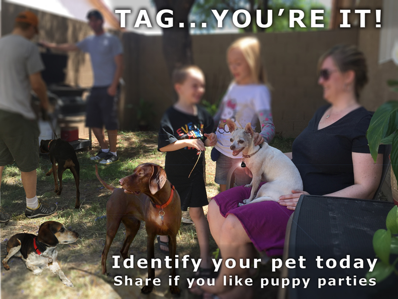 We love puppy get togethers. Play dates with close friends and families often times include pets.